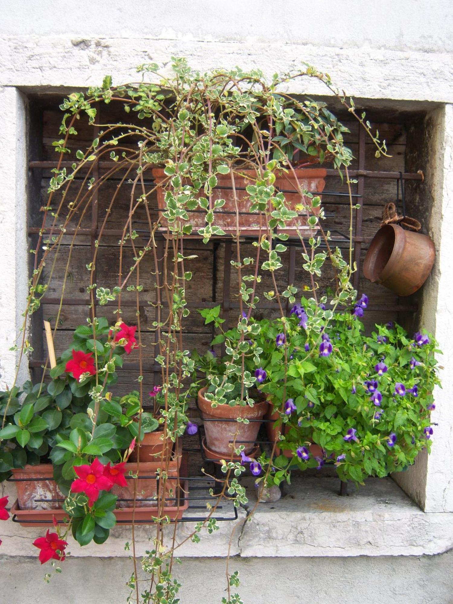 Dolcè B&B Corte Barbieri מראה חיצוני תמונה