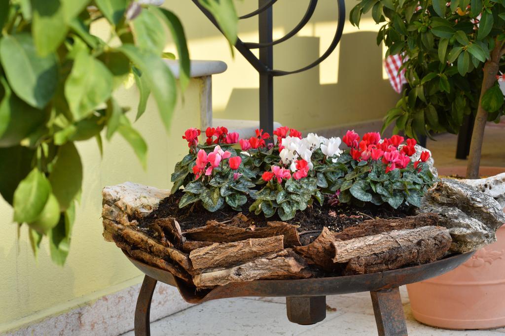 Dolcè B&B Corte Barbieri מראה חיצוני תמונה