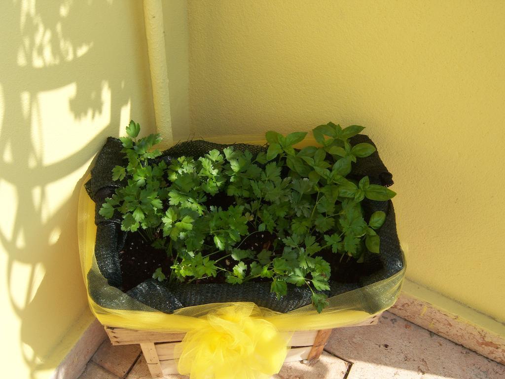 Dolcè B&B Corte Barbieri מראה חיצוני תמונה